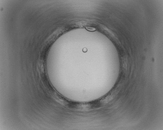 X0000072550313200608041654