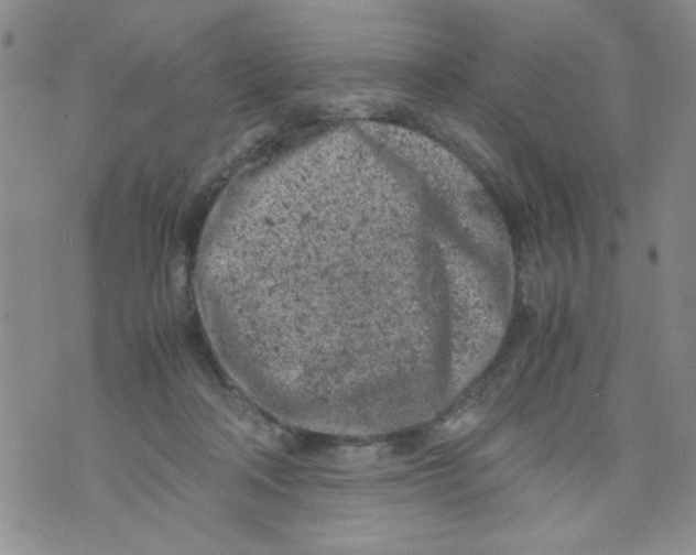 X0000072550314200608041654