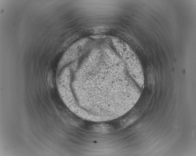 X0000072550316200608041654