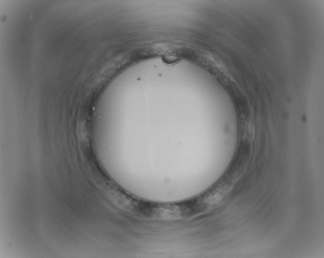 X0000072550317200608041654