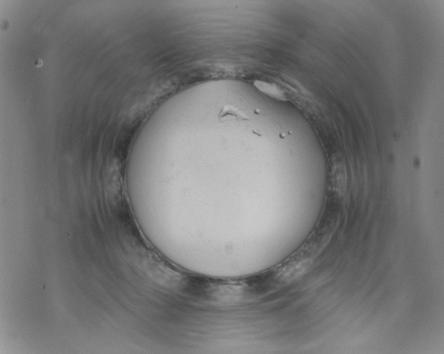 X0000072550318200608041654