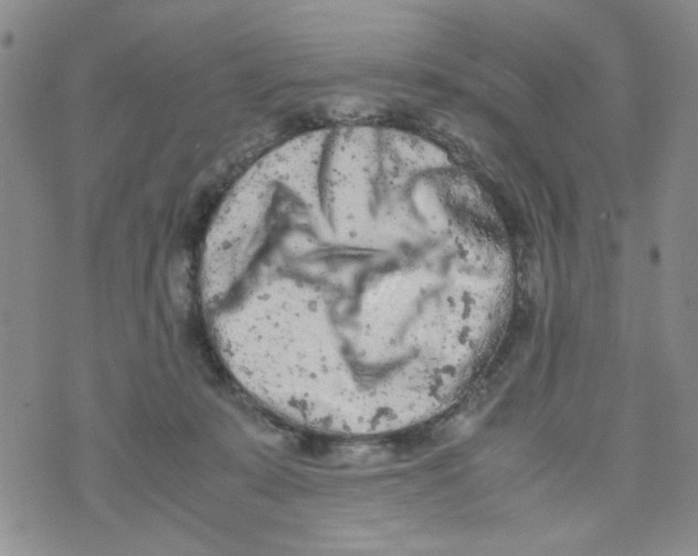 X0000072550319200608041654