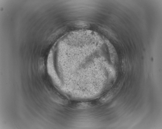 X0000072550320200608041654