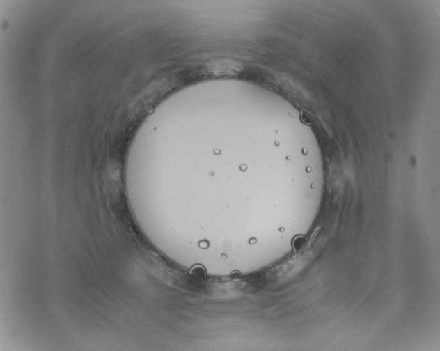 X0000072550321200608041654