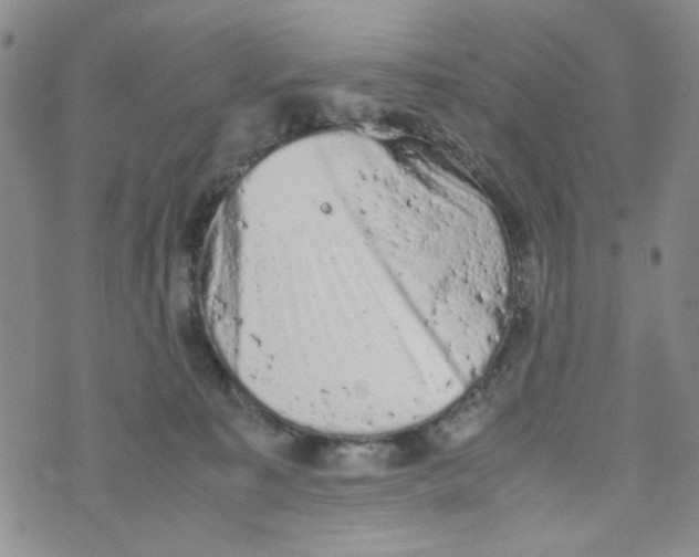 X0000072550323200608041654