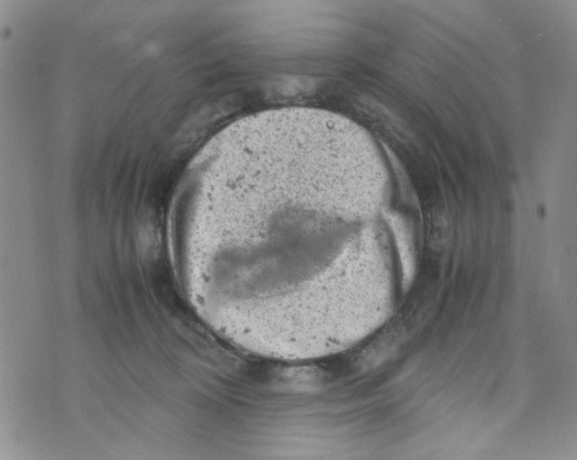 X0000072550324200608041654