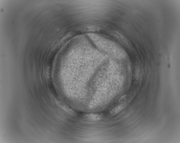 X0000072550326200608041654