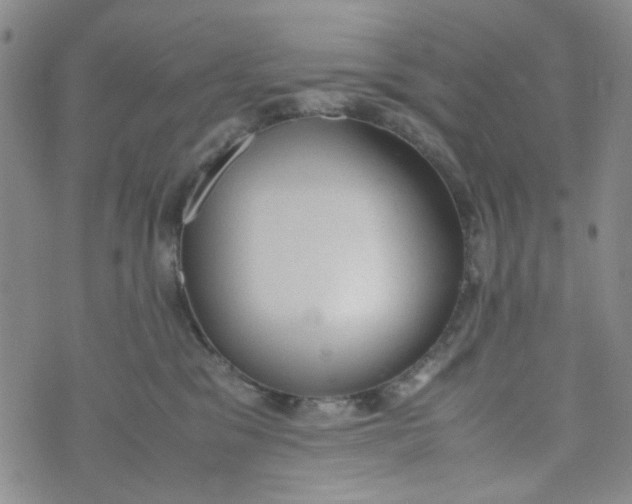 X0000072550329200608041654