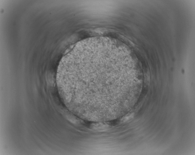 X0000072550331200608041654