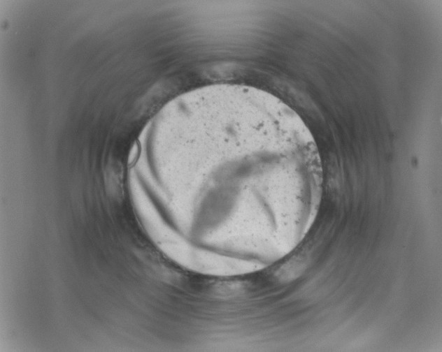 X0000072550332200608041654