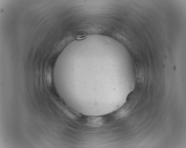 X0000072550334200608041654