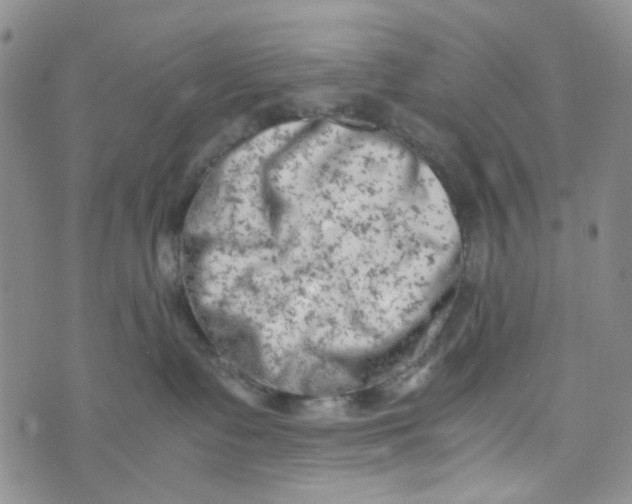 X0000072550335200608041654