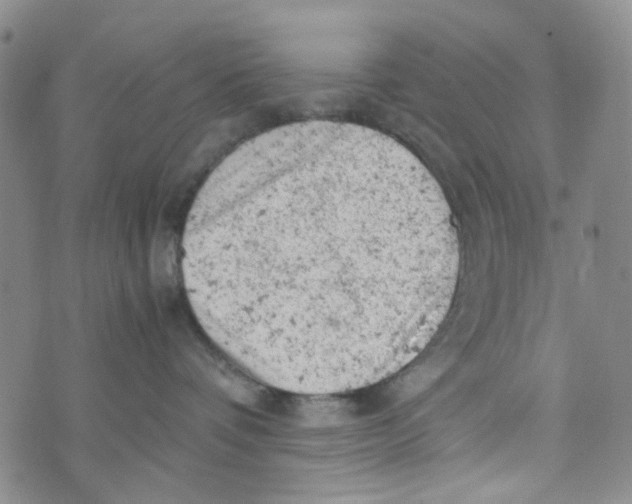 X0000072550336200608041654