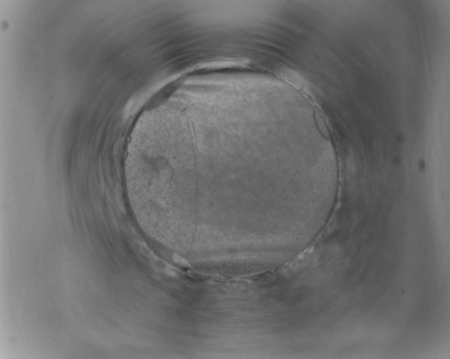 X0000072550337200608041653