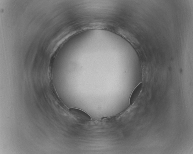 X0000072550338200608041653