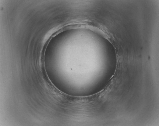 X0000072550340200608041653