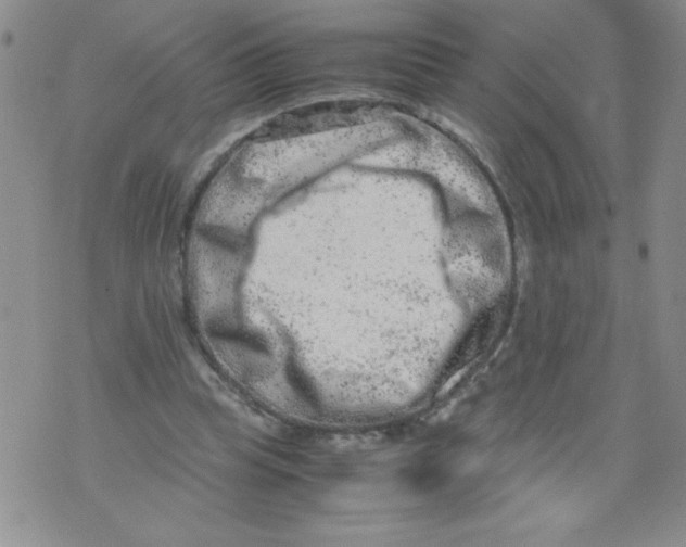 X0000072550345200608041653