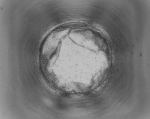 X0000072550346200608041653