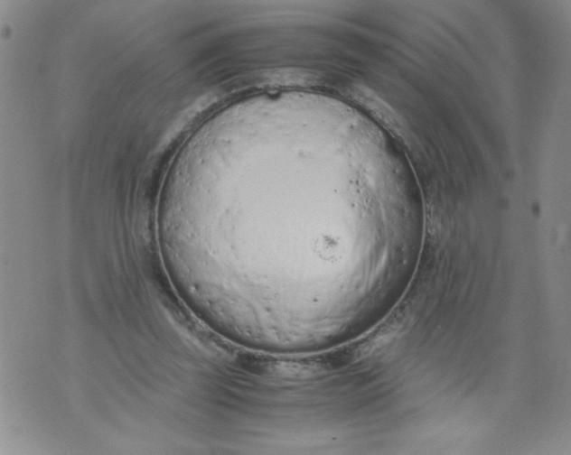 X0000072550347200608041653