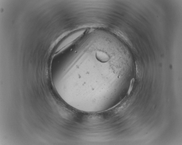 X0000072550348200608041653