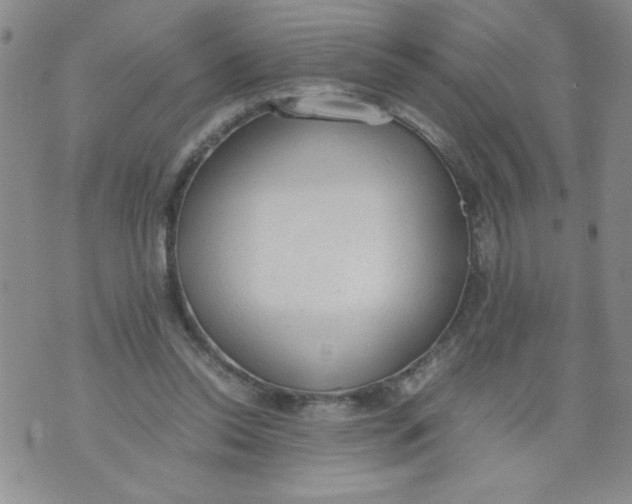 X0000072550350200608041653