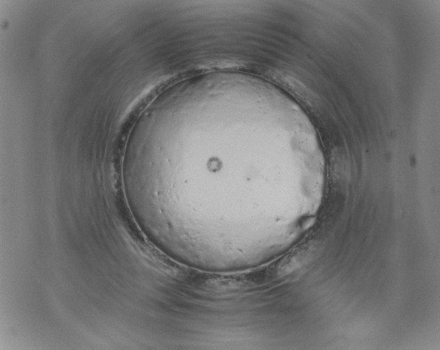 X0000072550351200608041653