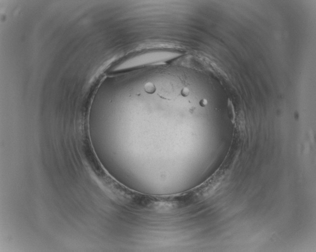 X0000072550352200608041653