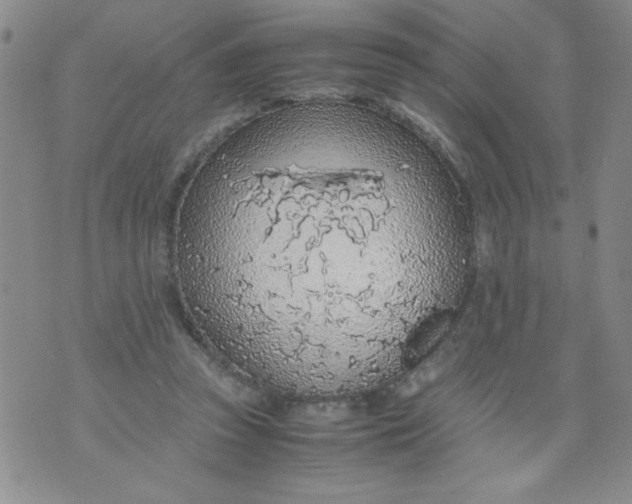 X0000072550353200608041653