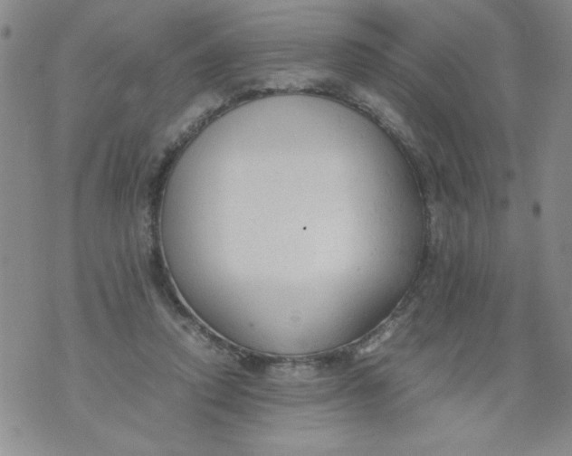 X0000072550354200608041653