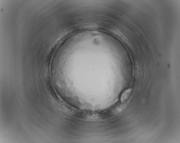 X0000072550355200608041653