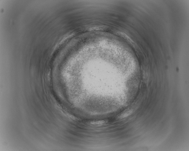 X0000072550357200608041654