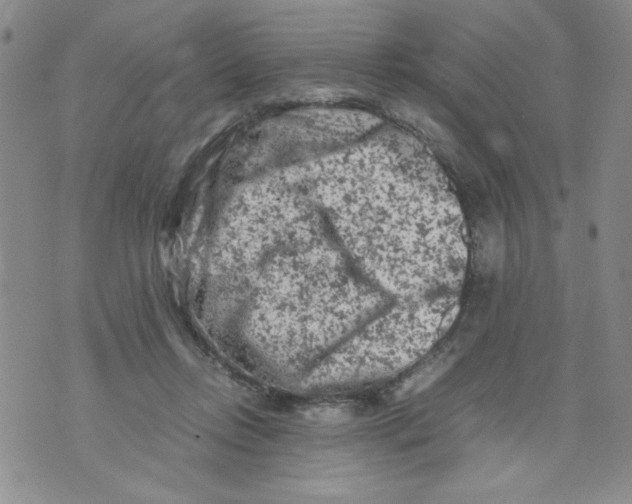 X0000072550358200608041654