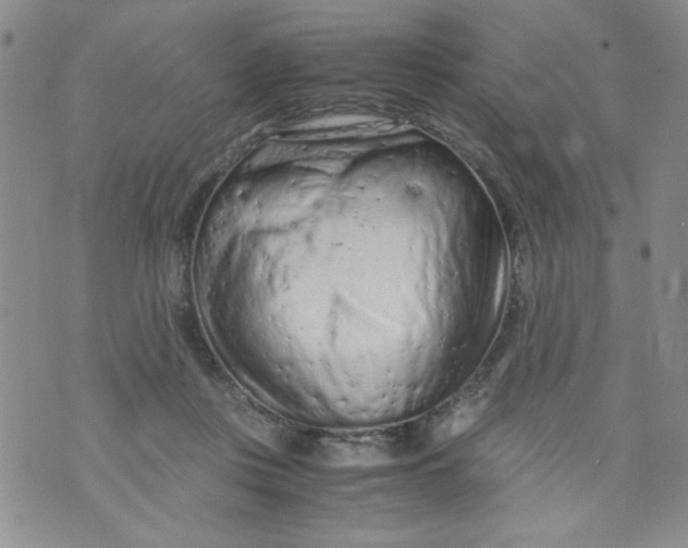 X0000072550359200608041654