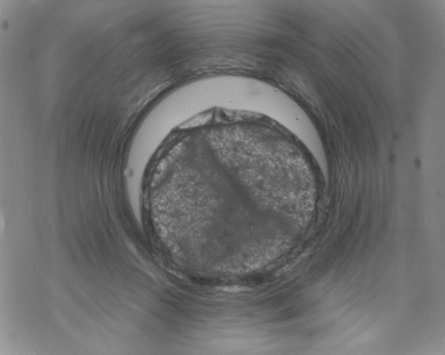 X0000072550360200608041654