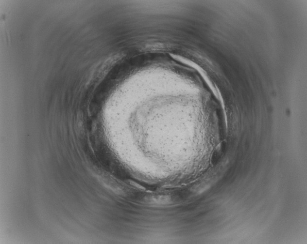 X0000072550361200608041654