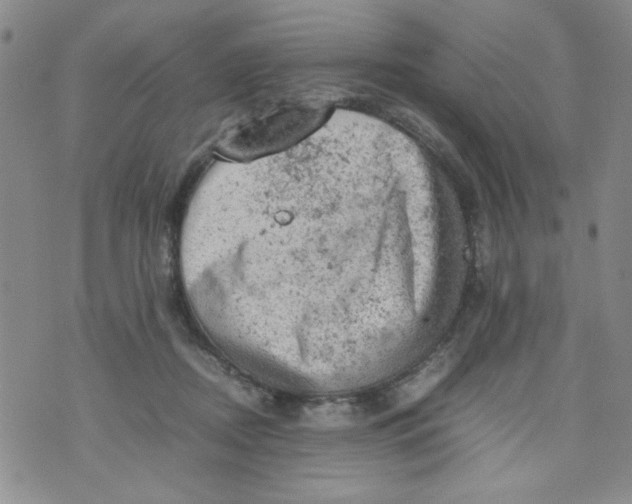 X0000072550362200608041654