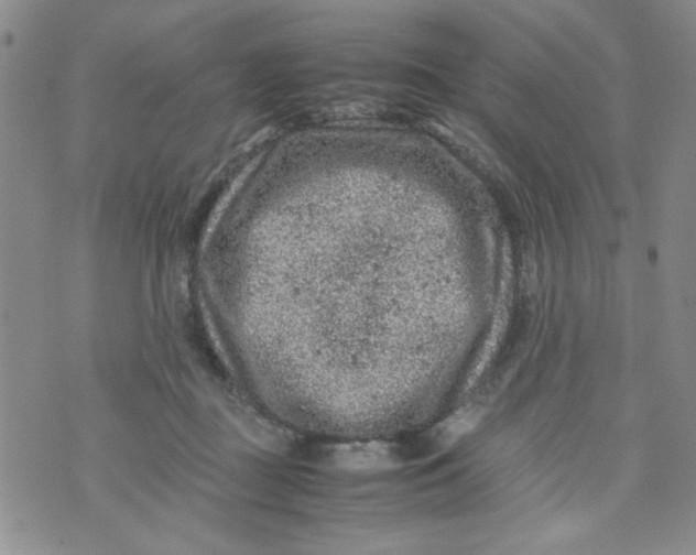 X0000072550363200608041654