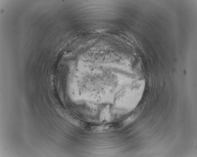 X0000072550366200608041654