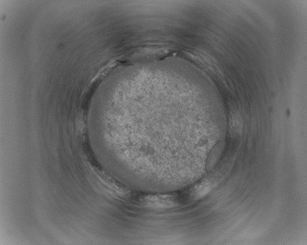 X0000072550367200608041654