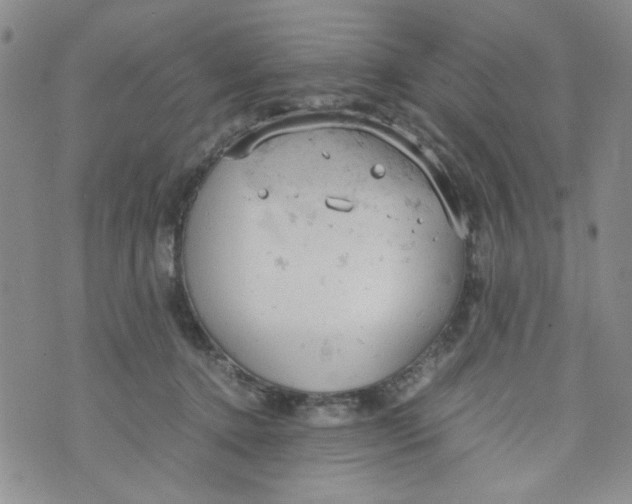 X0000072550368200608041654