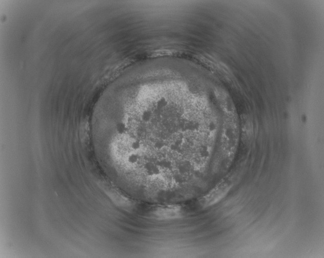 X0000072550369200608041654