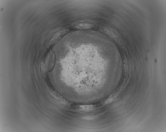 X0000072550371200608041654