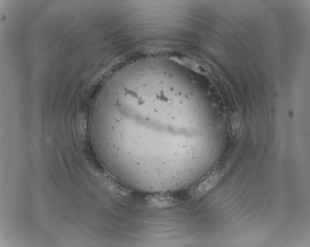 X0000072550372200608041654