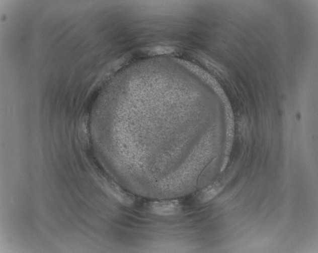 X0000072550373200608041654