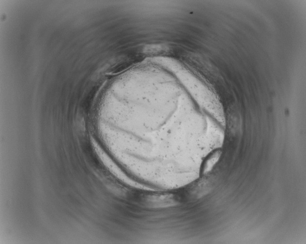 X0000072550375200608041654