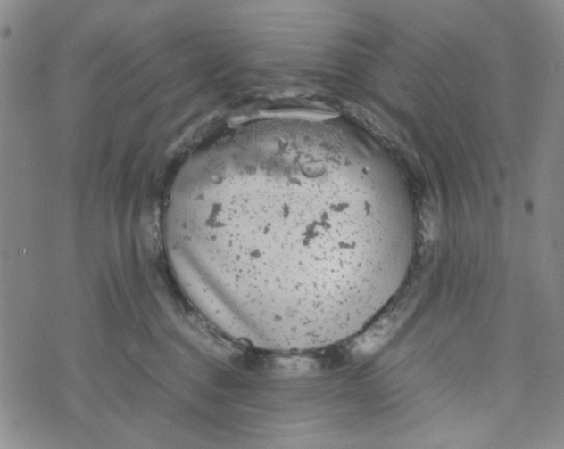 X0000072550376200608041654