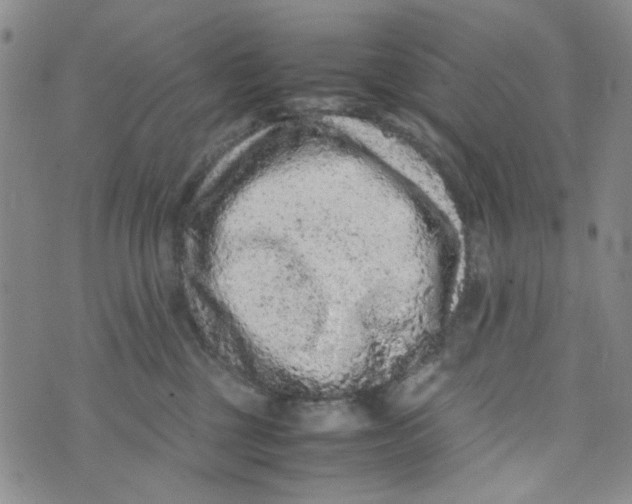 X0000072550377200608041654