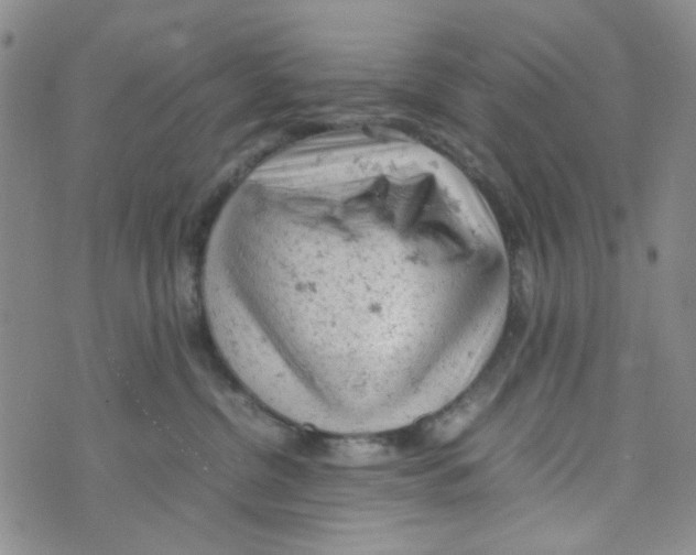 X0000072550380200608041654