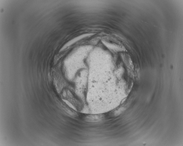 X0000072550381200608041654