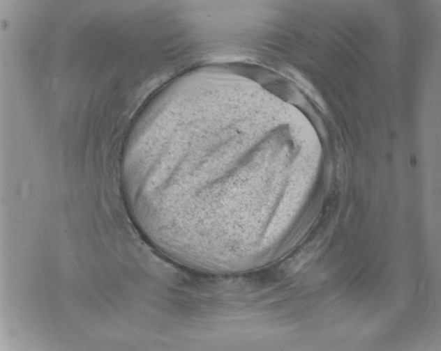 X0000072550385200608041653